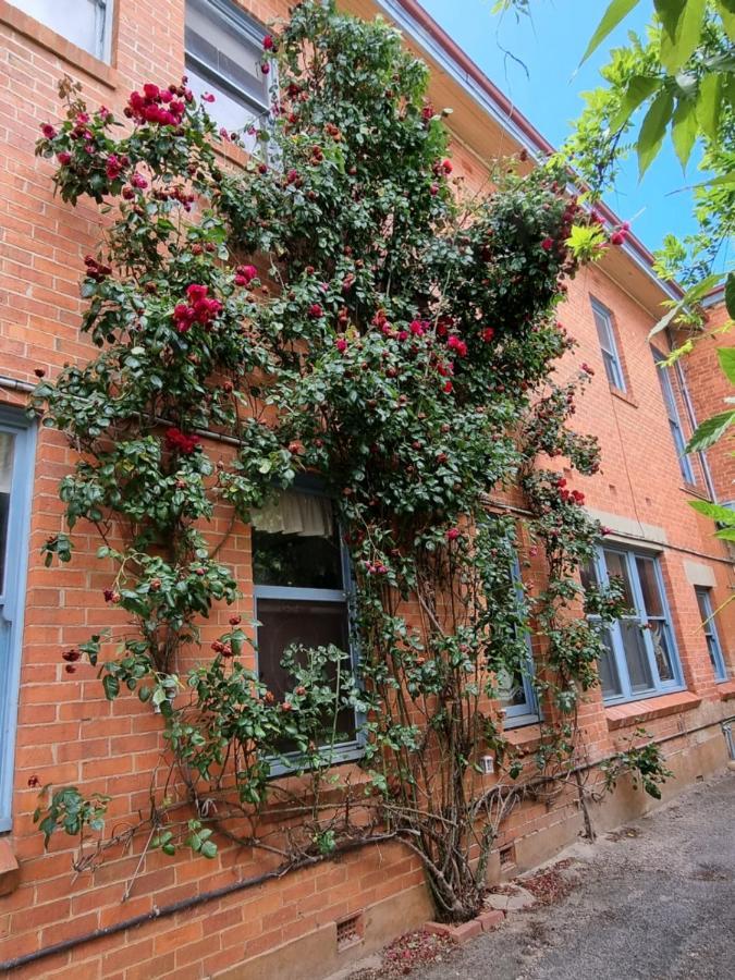 La Cochon Rose Motel Saint Arnaud ภายนอก รูปภาพ