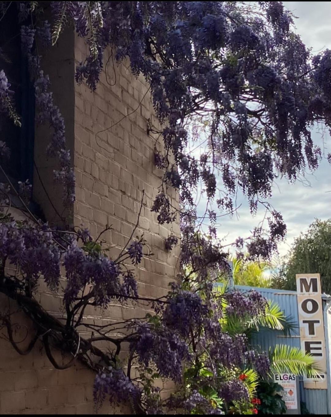 La Cochon Rose Motel Saint Arnaud ภายนอก รูปภาพ